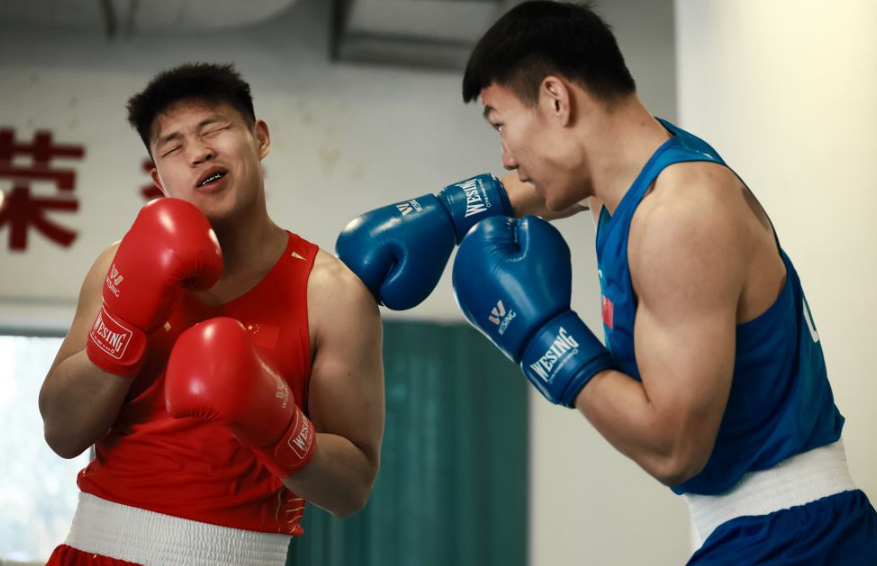 畅玩乐鱼体育 APP 官方下载步骤